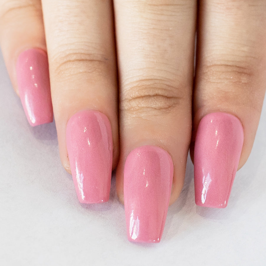 Blush Dip Powder